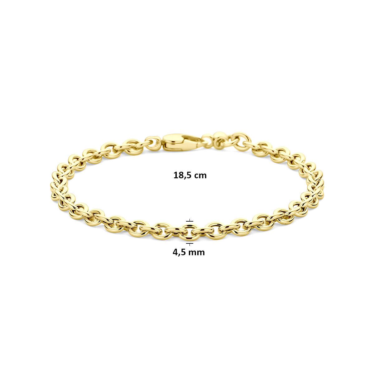 Armband 4,5 mm 9K geelgoud 18,5 cm