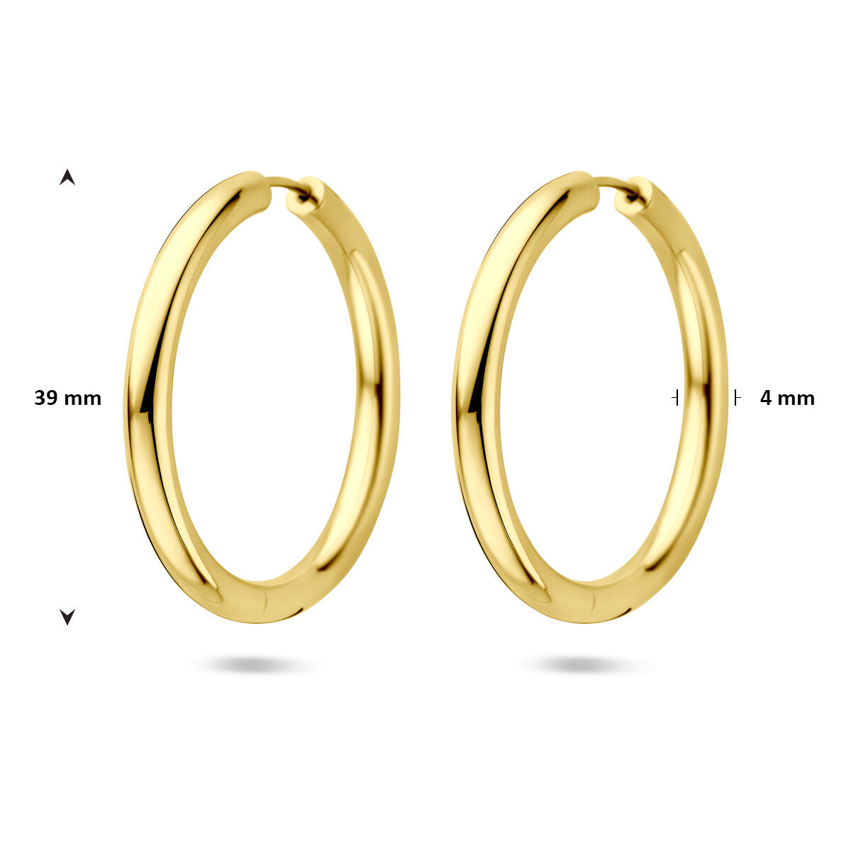 Fantasy Collection Oorbellen 39 mm 1 micron zilver verguld