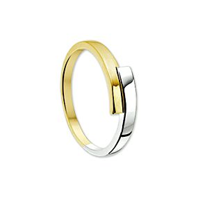 Fantasy Collection 14K Bicolor Gouden Ring 4205415