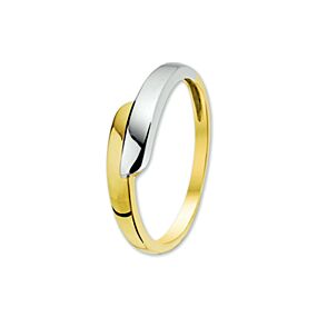 Fantasy Collection 14K Bicolor Gouden Ring 4205385