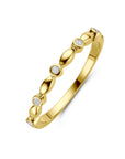 14K Geelgouden Ring Diamant 0.05Ct H Si 4034678 - PansiteNederland.nl