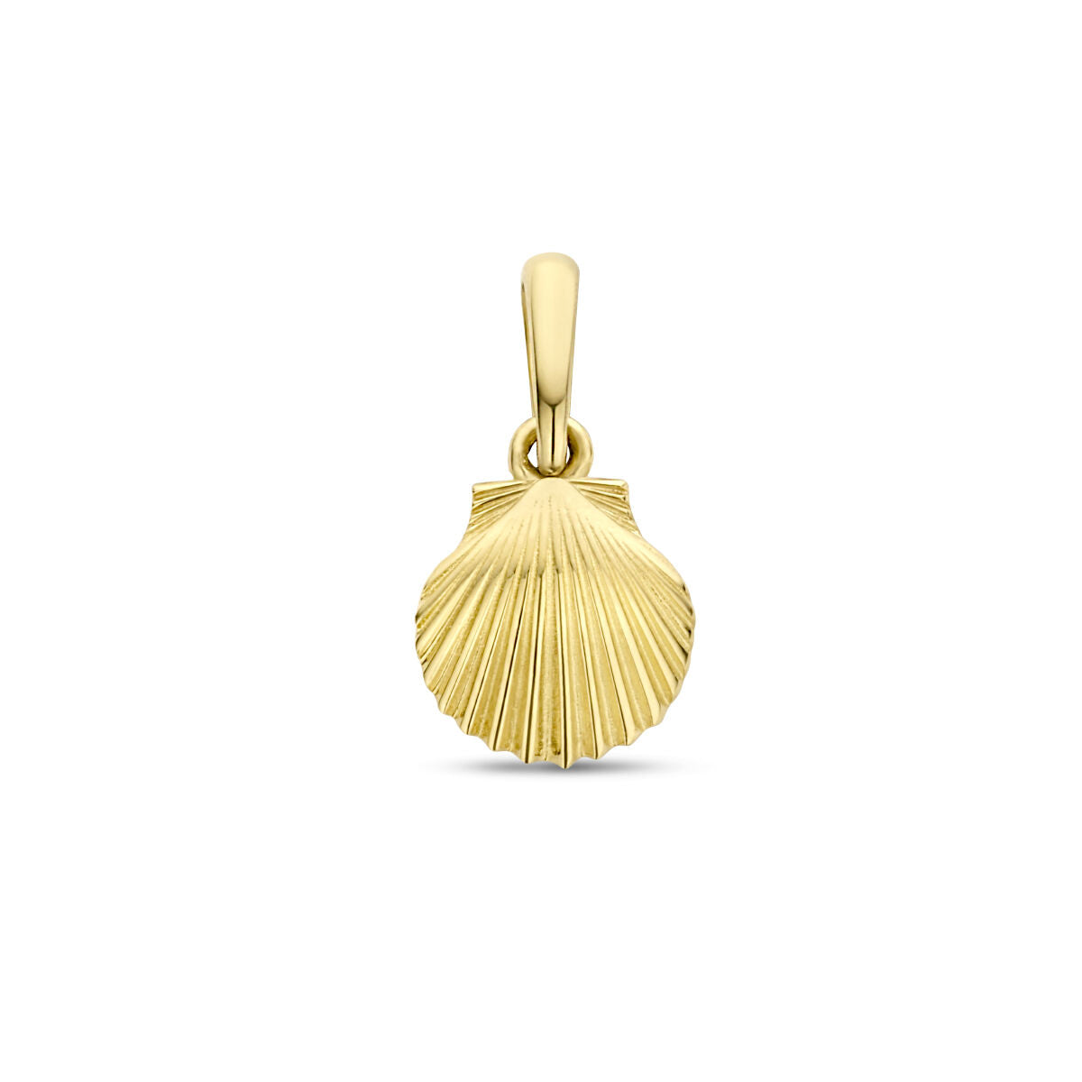 Fantasy Collection Hanger schelp 12 mm 14K geelgoud