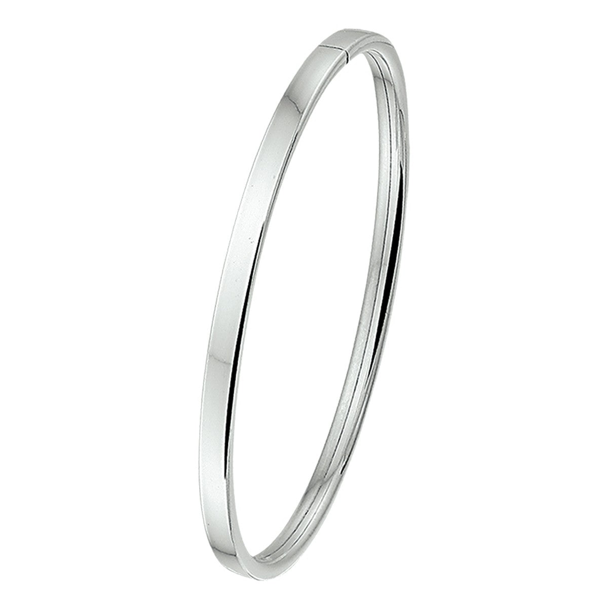 Fantasy Collection Bangle dop 4 mm vlakke buis zilver