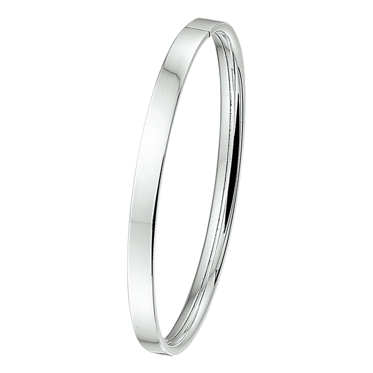 Fantasy Collection Bangle dop 5 mm vlakke buis zilver