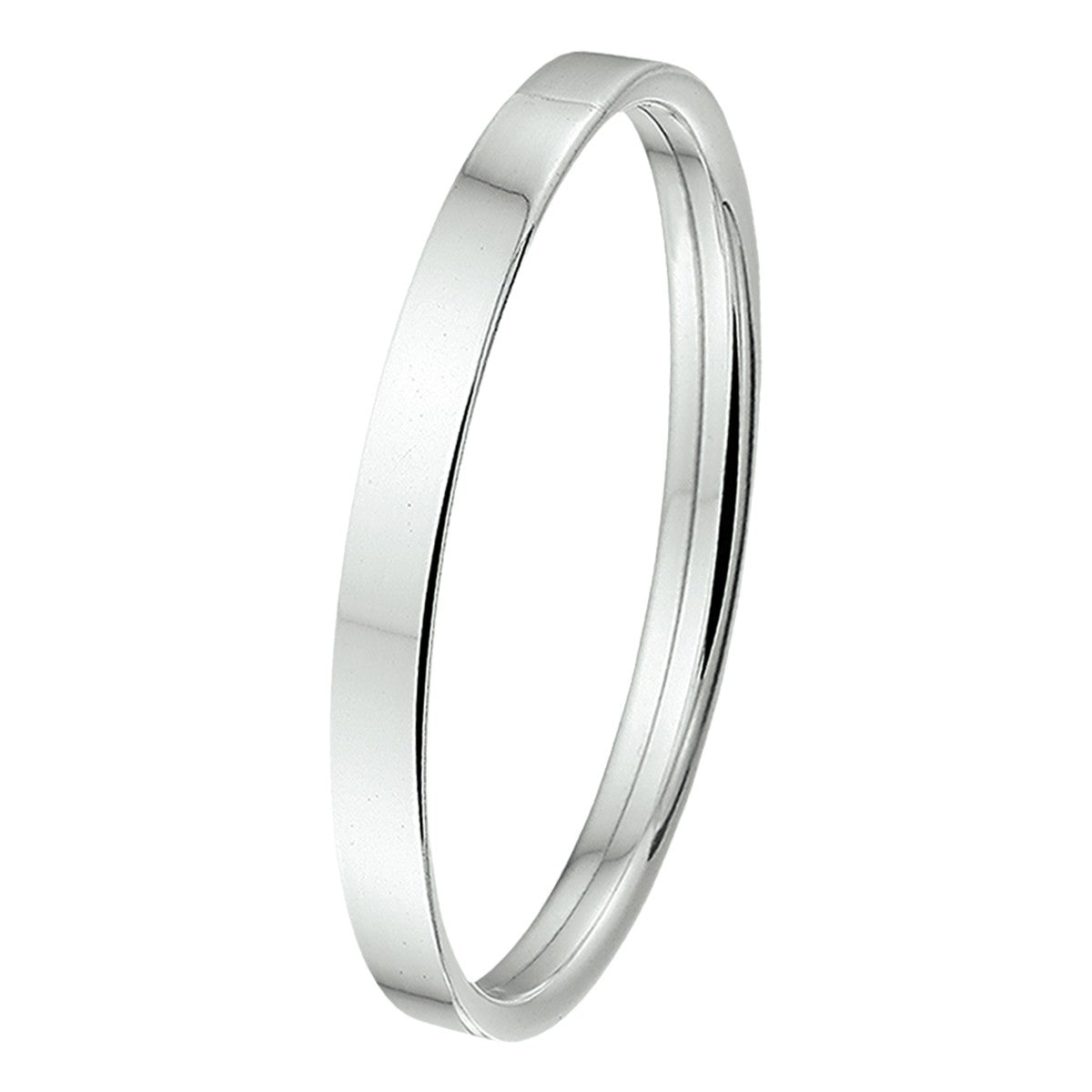 Fantasy Collection Bangle dop 6 mm vlakke buis zilver