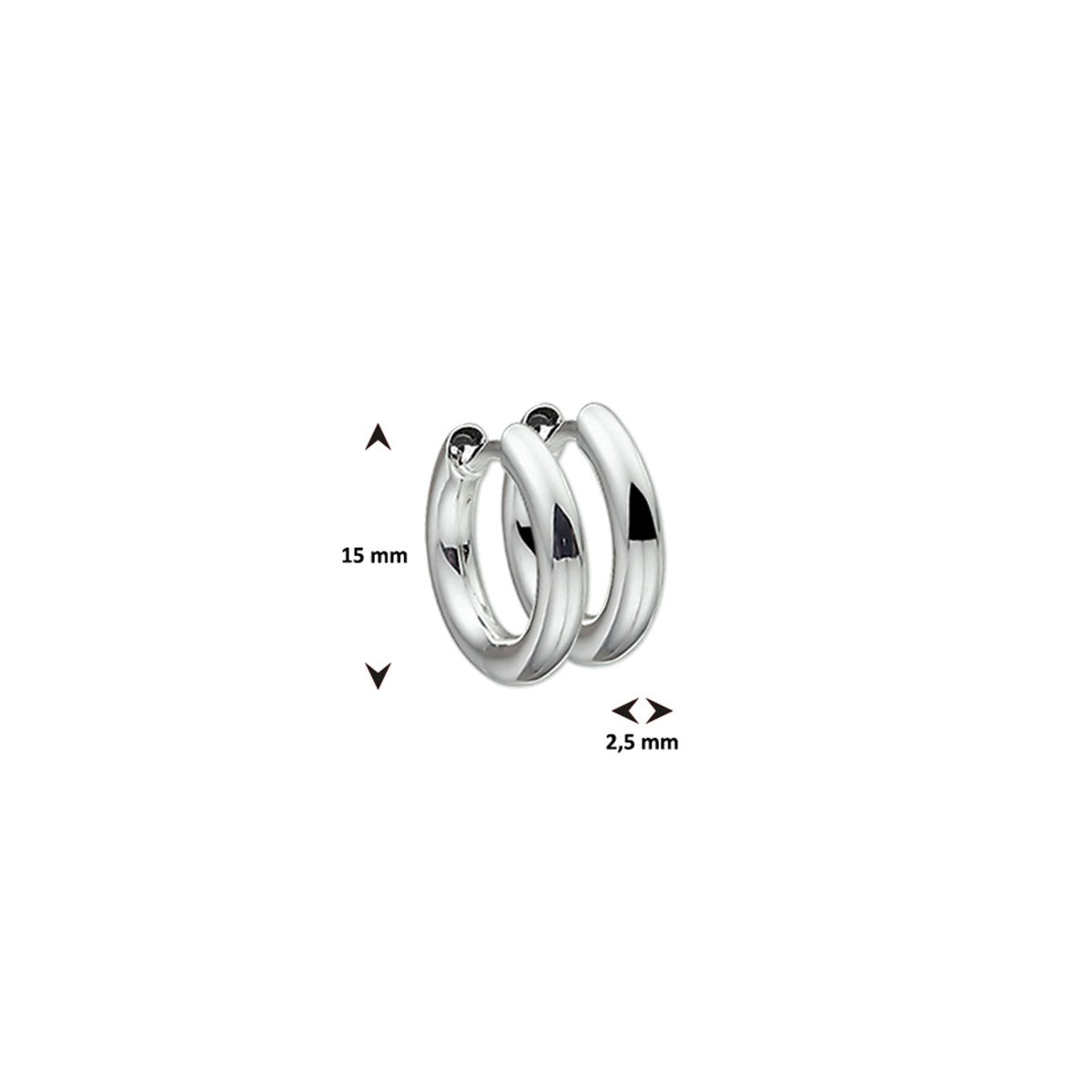 Fantasy Collection Oorbellen 2,5 mm rond zilver