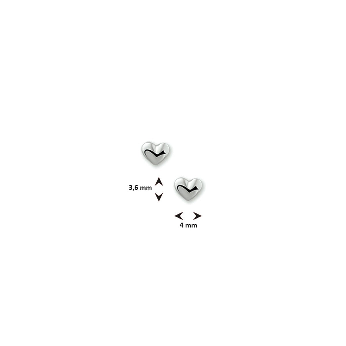 Fantasy Collection Oorbellen hart zilver