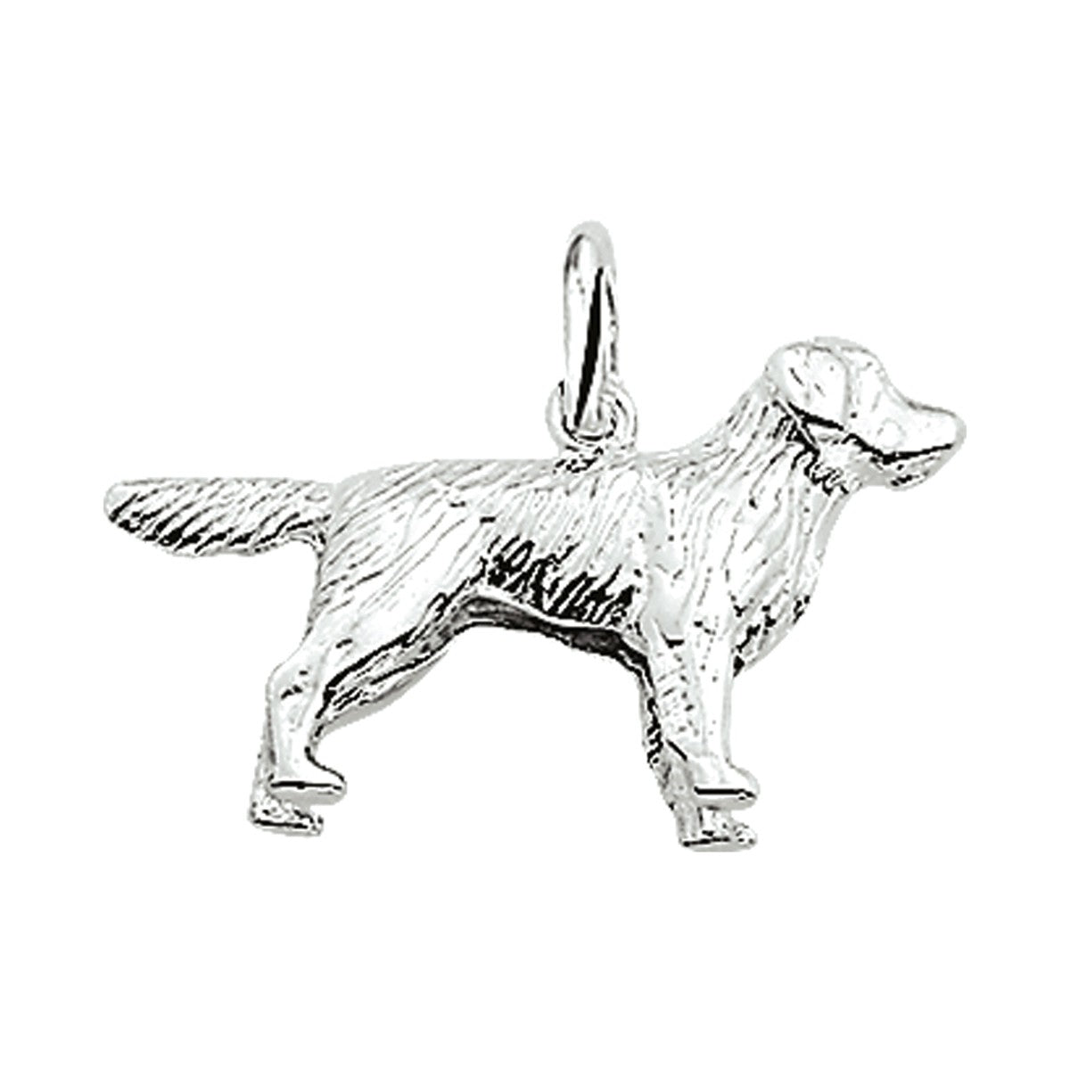 Fantasy Collection Hanger golden retriever zilver