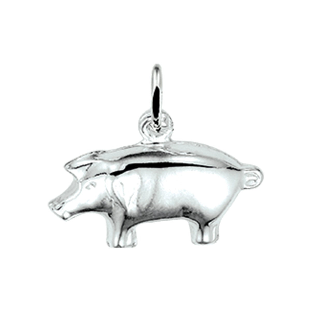 Fantasy Collection Hanger varken zilver - PSN1009099