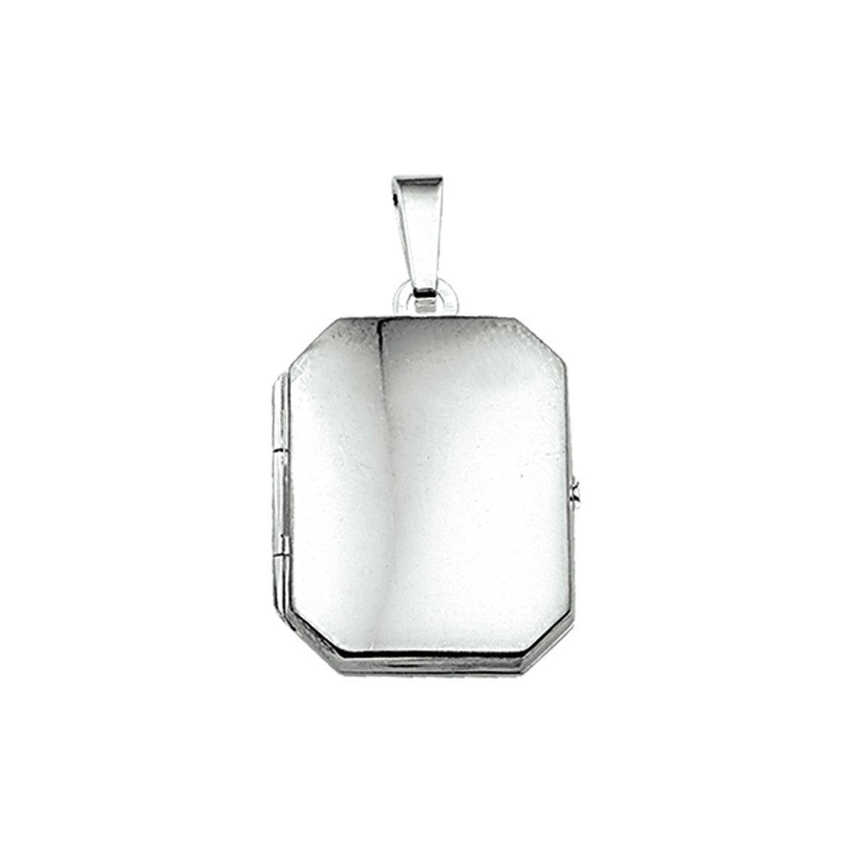 Fantasy Collection Medaillon 21 mm zilver hanger