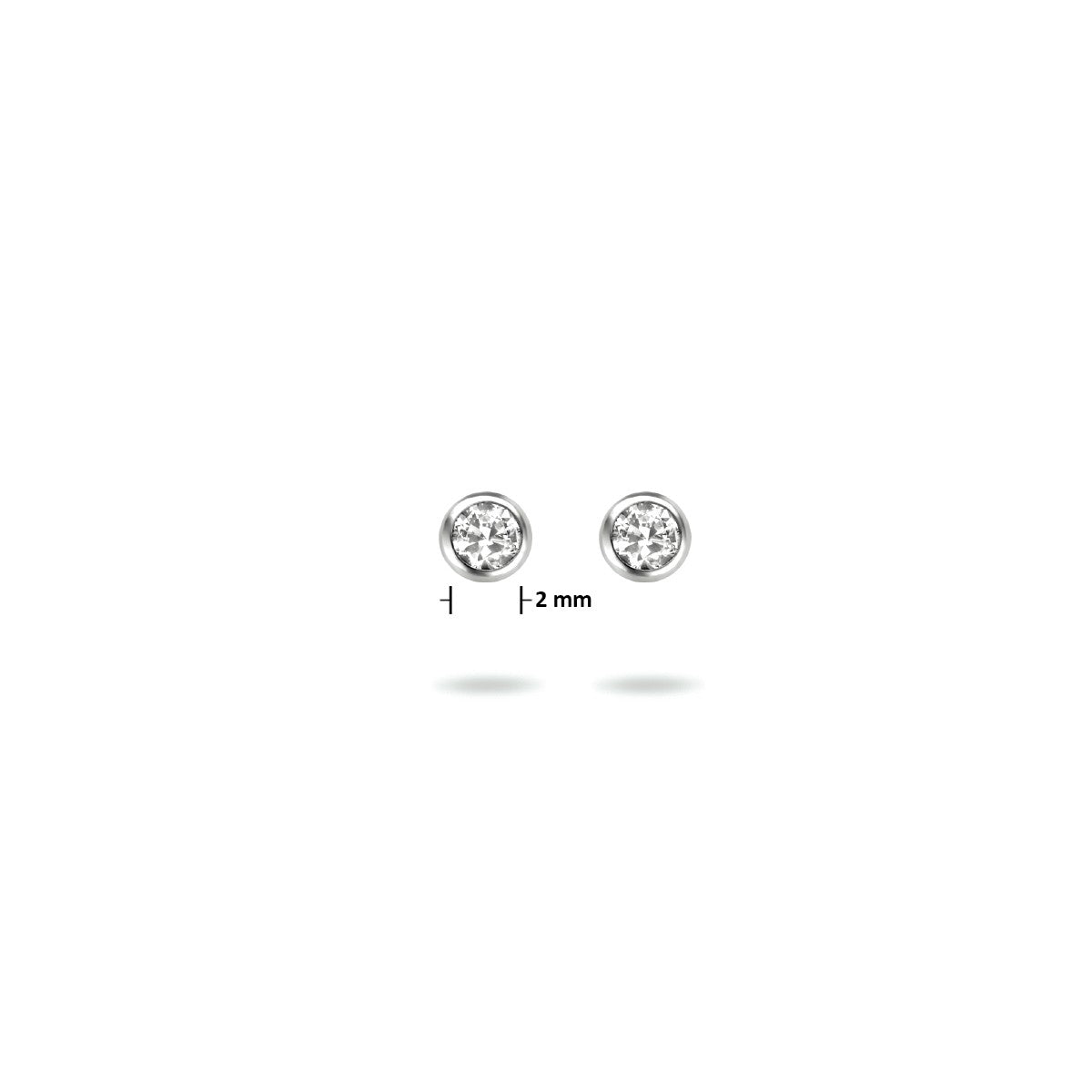 Fantasy Collection Oorbellen zirkonia zilver