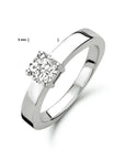 Ring zirkonia - PSN1311166 - PansiteNederland.nl