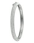 Bangle scharnier zirkonia 6 x 60 mm - PSN1320083 - PansiteNederland.nl