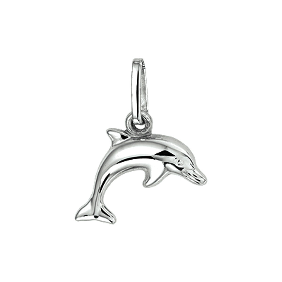 Fantasy Collection Hanger dolfijn zilver