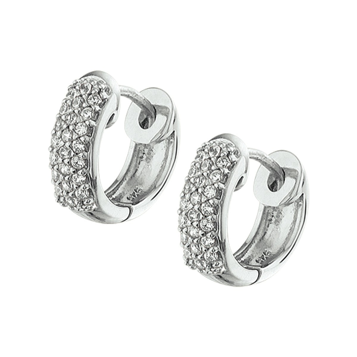 Fantasy Collection Oorbellen zirkonia zilver