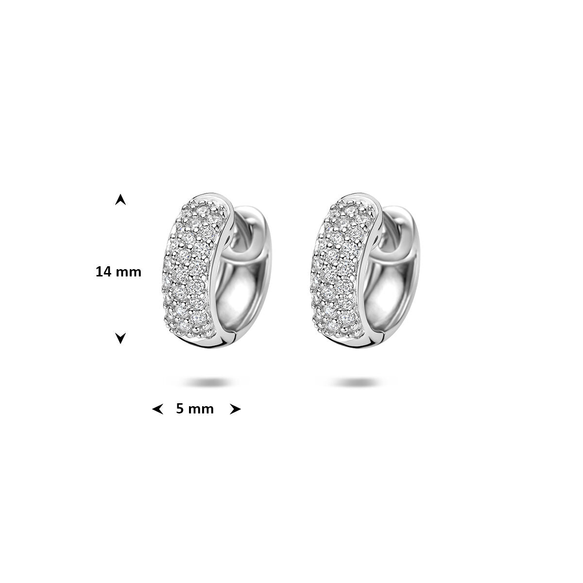 Oorbellen zirkonia zilver