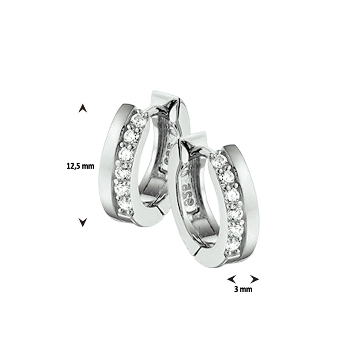 Fantasy Collection Oorbellen zirkonia zilver
