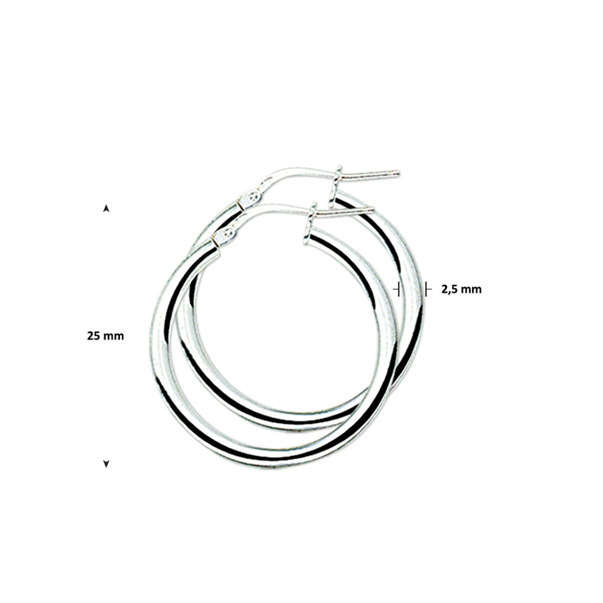 Oorringen ronde buis - PSN1322952 - PansiteNederland.nl