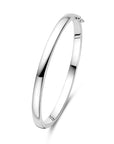 bangle scharnier 5 mm bolle buis zilver gerhodineerd - PansiteNederland.nl