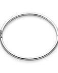 bangle scharnier 5 mm bolle buis zilver gerhodineerd - PansiteNederland.nl