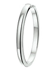 bangle scharnier 6 mm bolle buis zilver gerhodineerd - PansiteNederland.nl