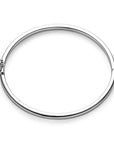 bangle scharnier 5 mm bolle buis zilver gerhodineerd - PansiteNederland.nl