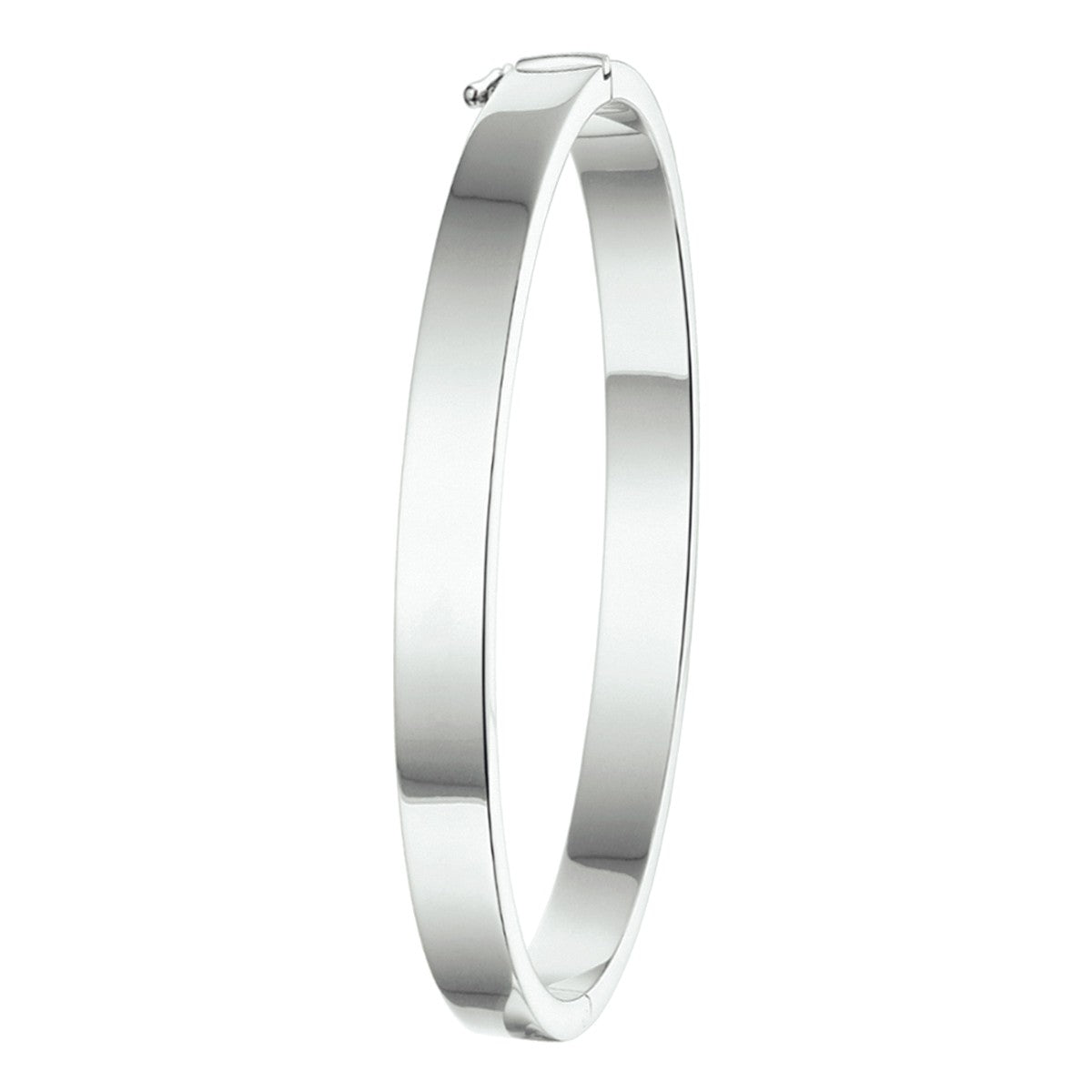 bangle scharnier 6 mm vlakke buis zilver gerhodineerd - PansiteNederland.nl