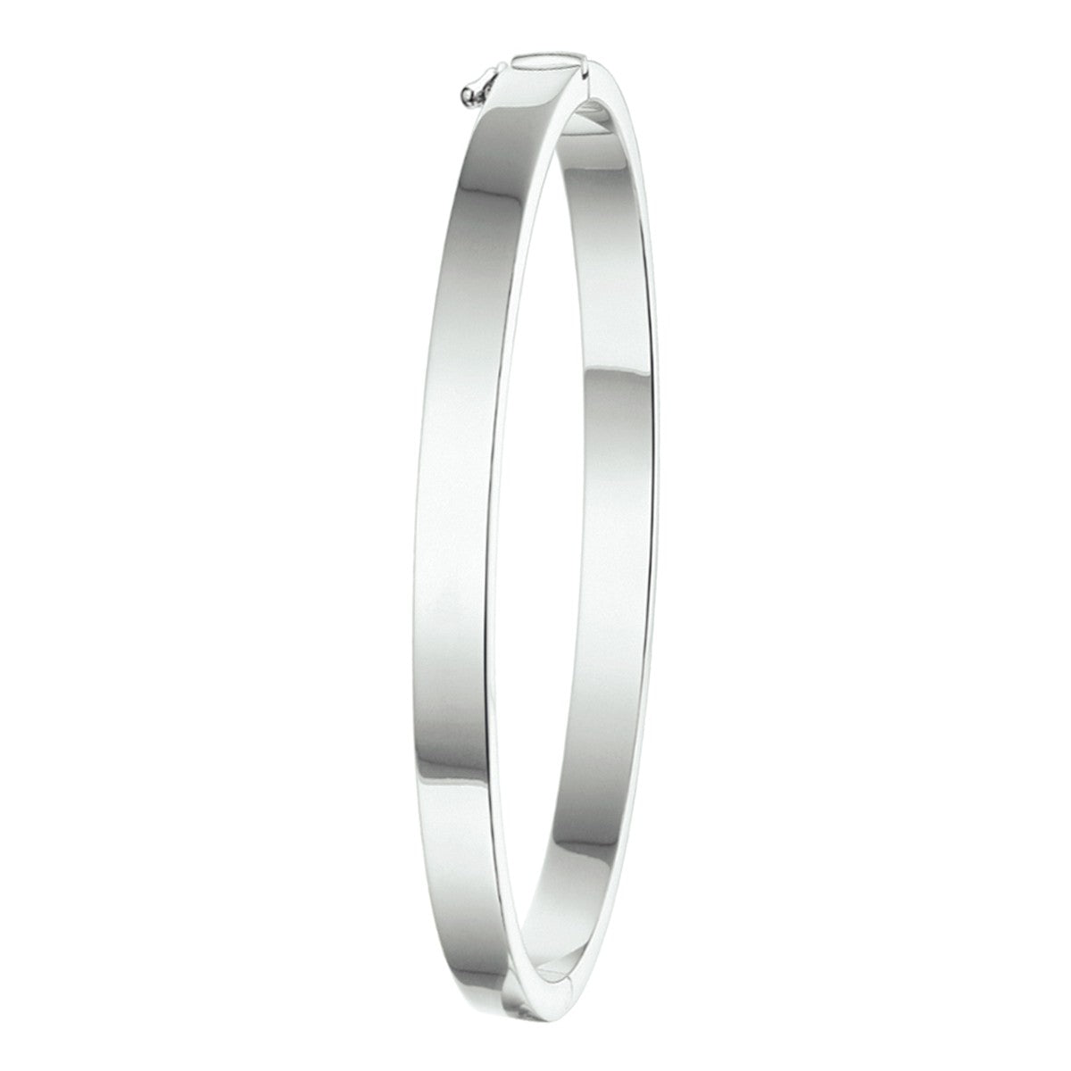 bangle scharnier 5 mm vlakke buis zilver gerhodineerd - PansiteNederland.nl