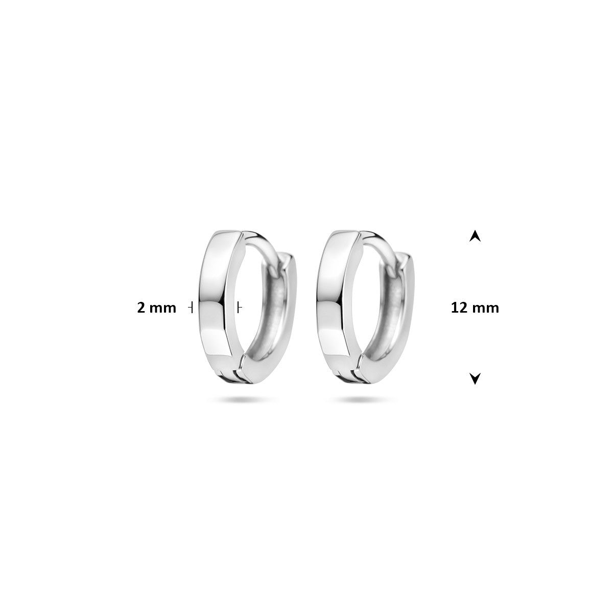 Oorbellen gefaceteerd 12 mm zilver