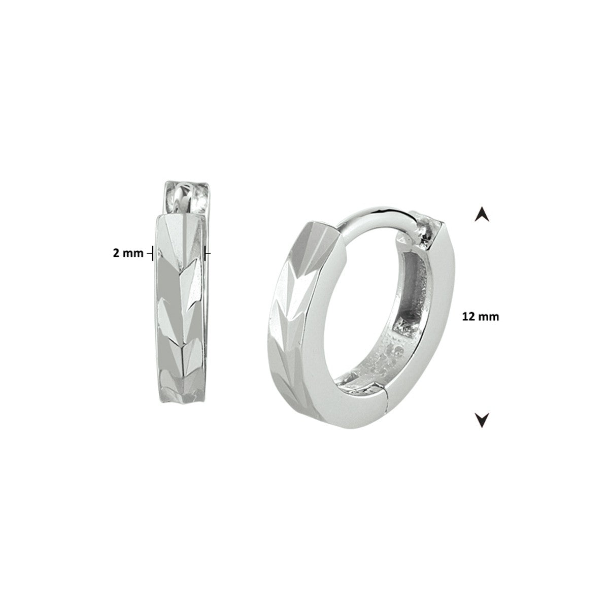 Fantasy Collection Oorbellen vlak 12 mm zilver