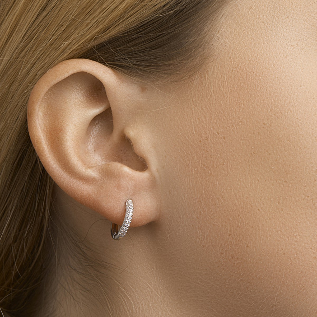 Fantasy Collection Oorbellen zirkonia zilver