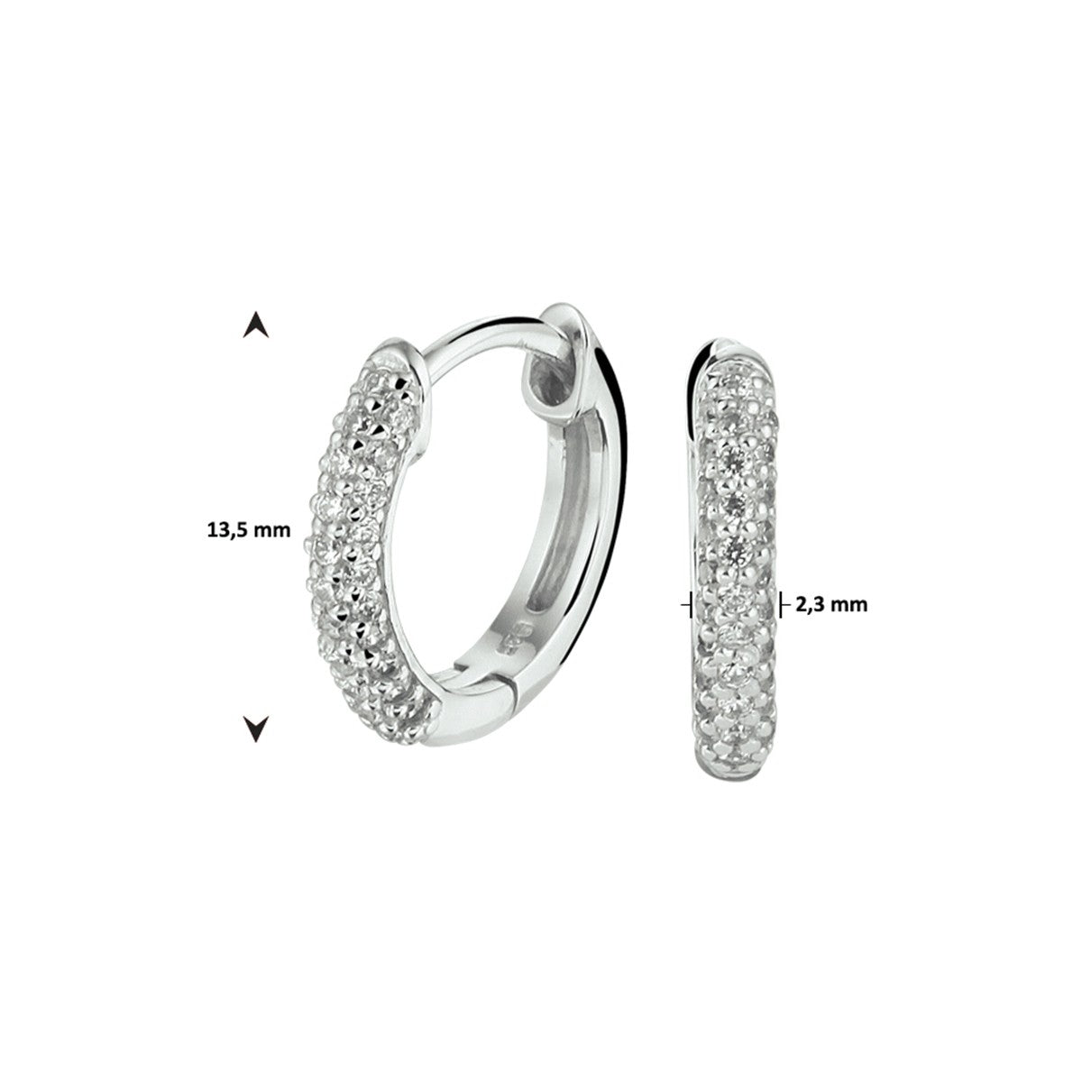 Fantasy Collection Oorbellen zirkonia zilver