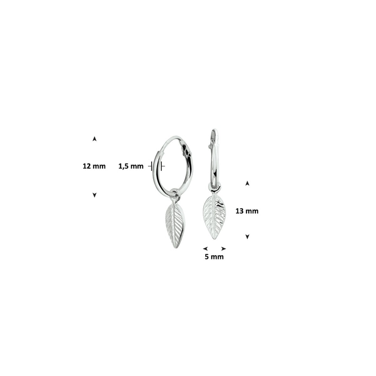 Fantasy Collection Oorbellen veer zilver
