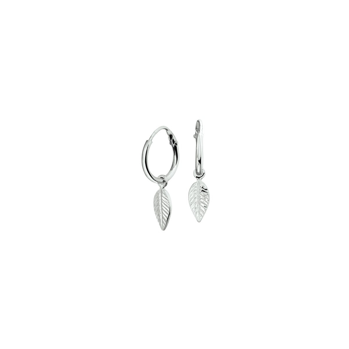 Fantasy Collection Oorbellen veer zilver