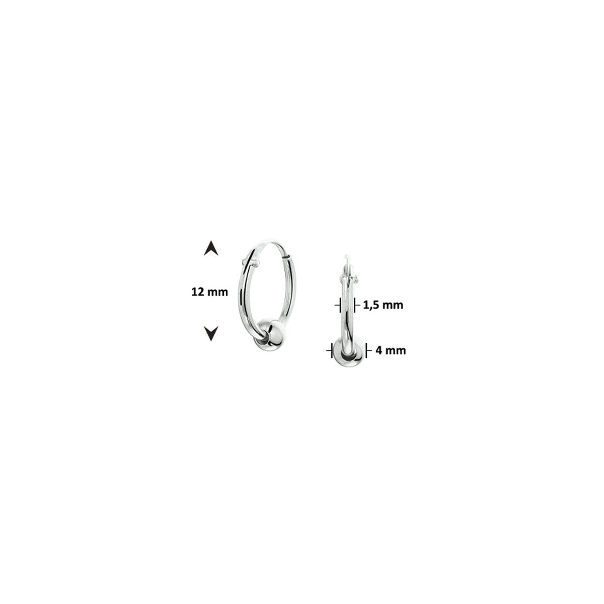 Fantasy Collection Oorbellen bol zilver