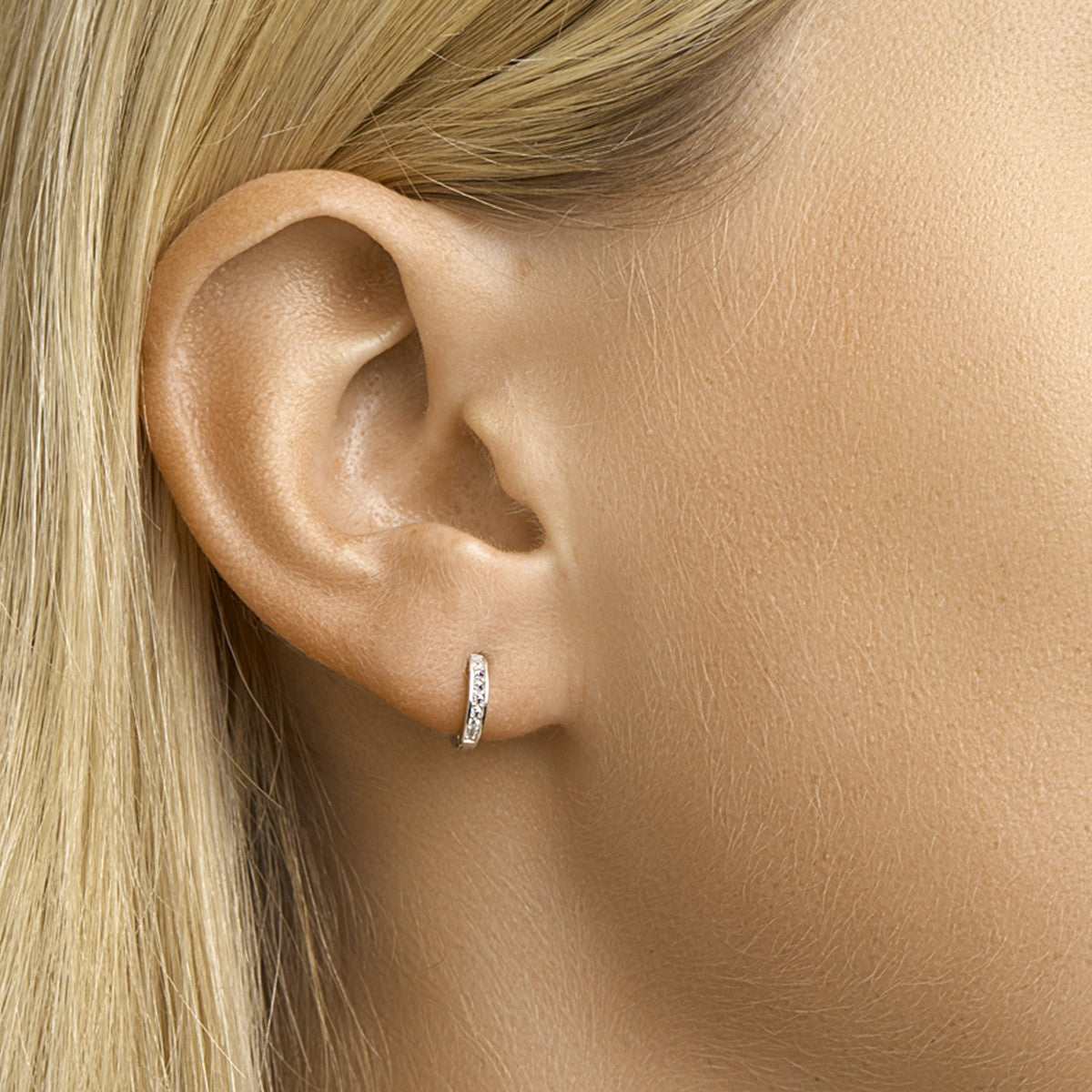 Fantasy Collection Oorbellen zirkonia zilver