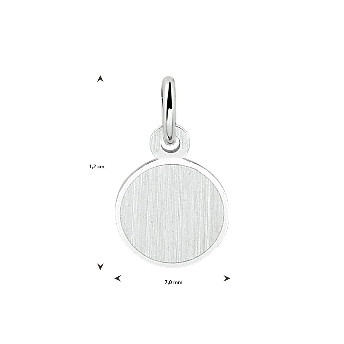 Fantasy Collection Graveerhanger rond gediamanteerd zilver