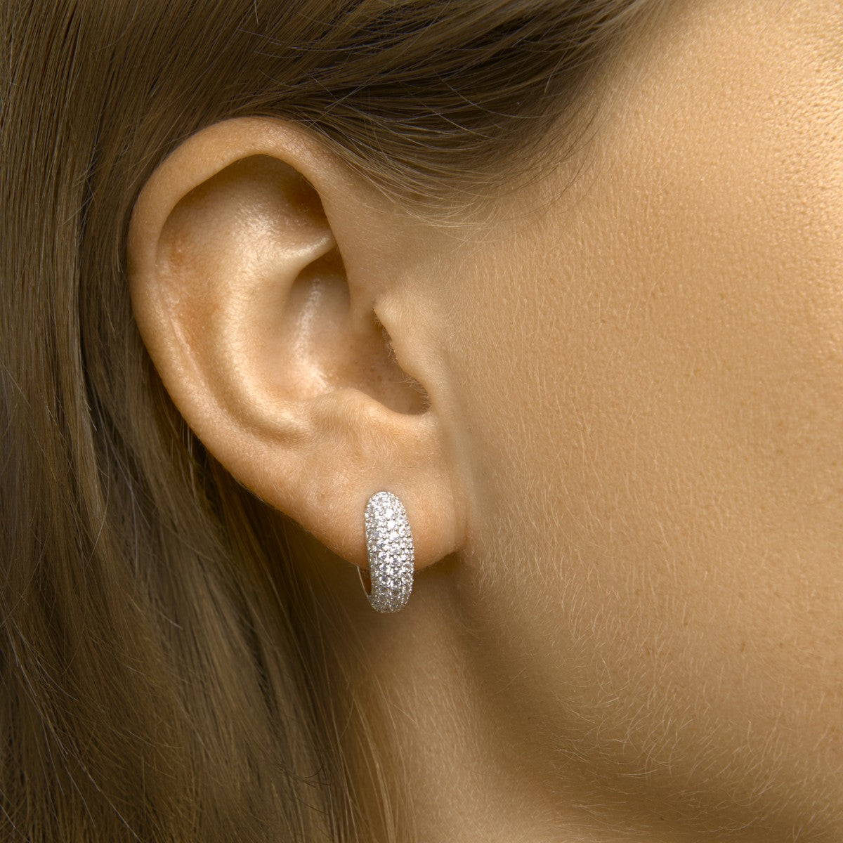 Fantasy Collection Oorbellen zirkonia zilver