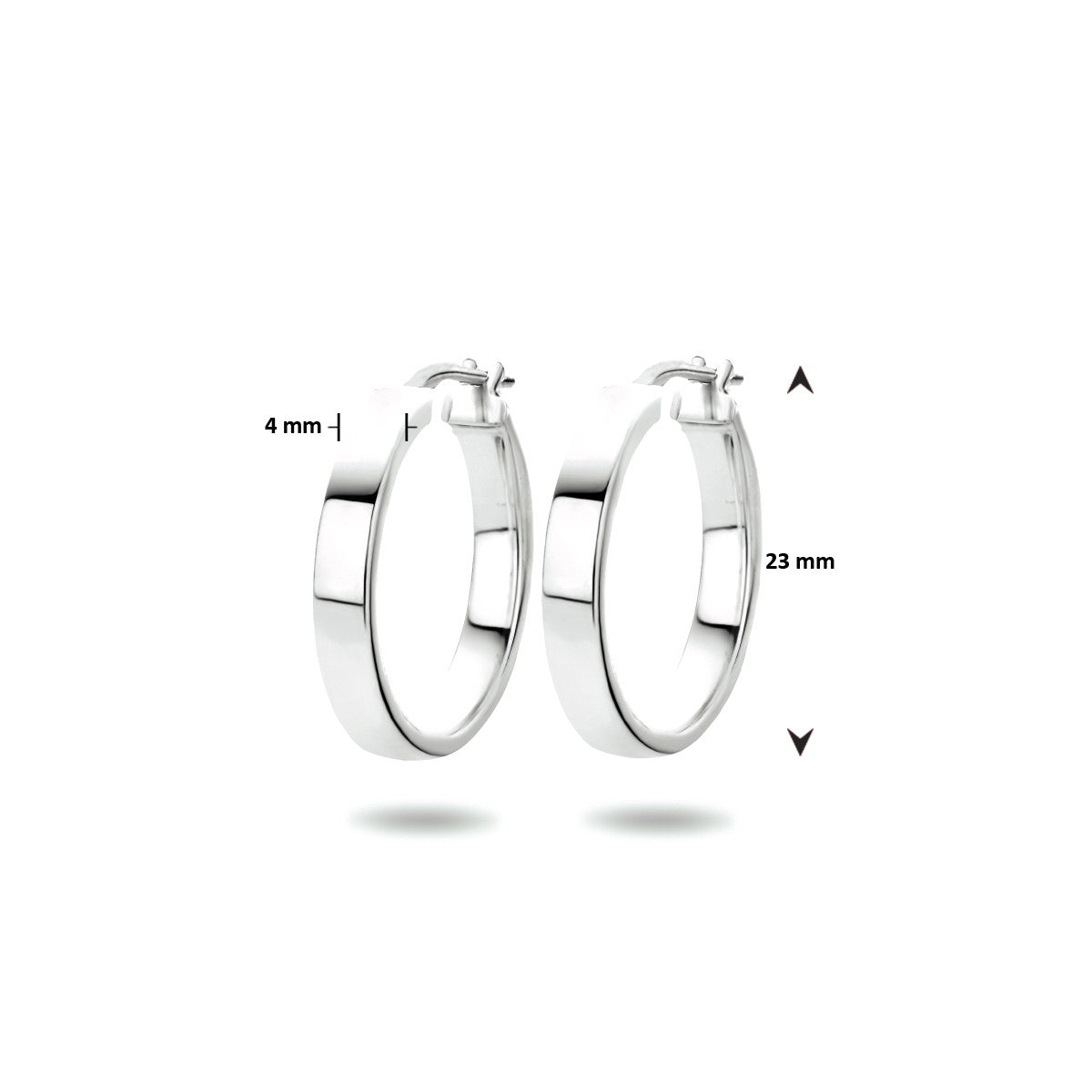 Fantasy Collection Oorbellen zilver