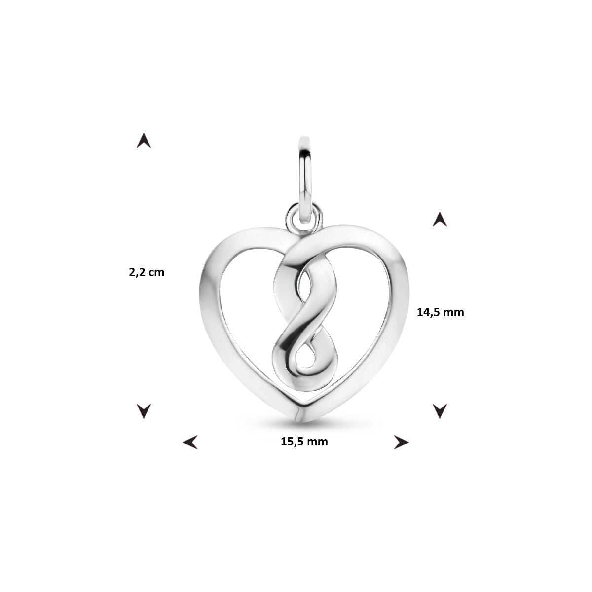 Fantasy Collection Hanger hart en infinity zilver