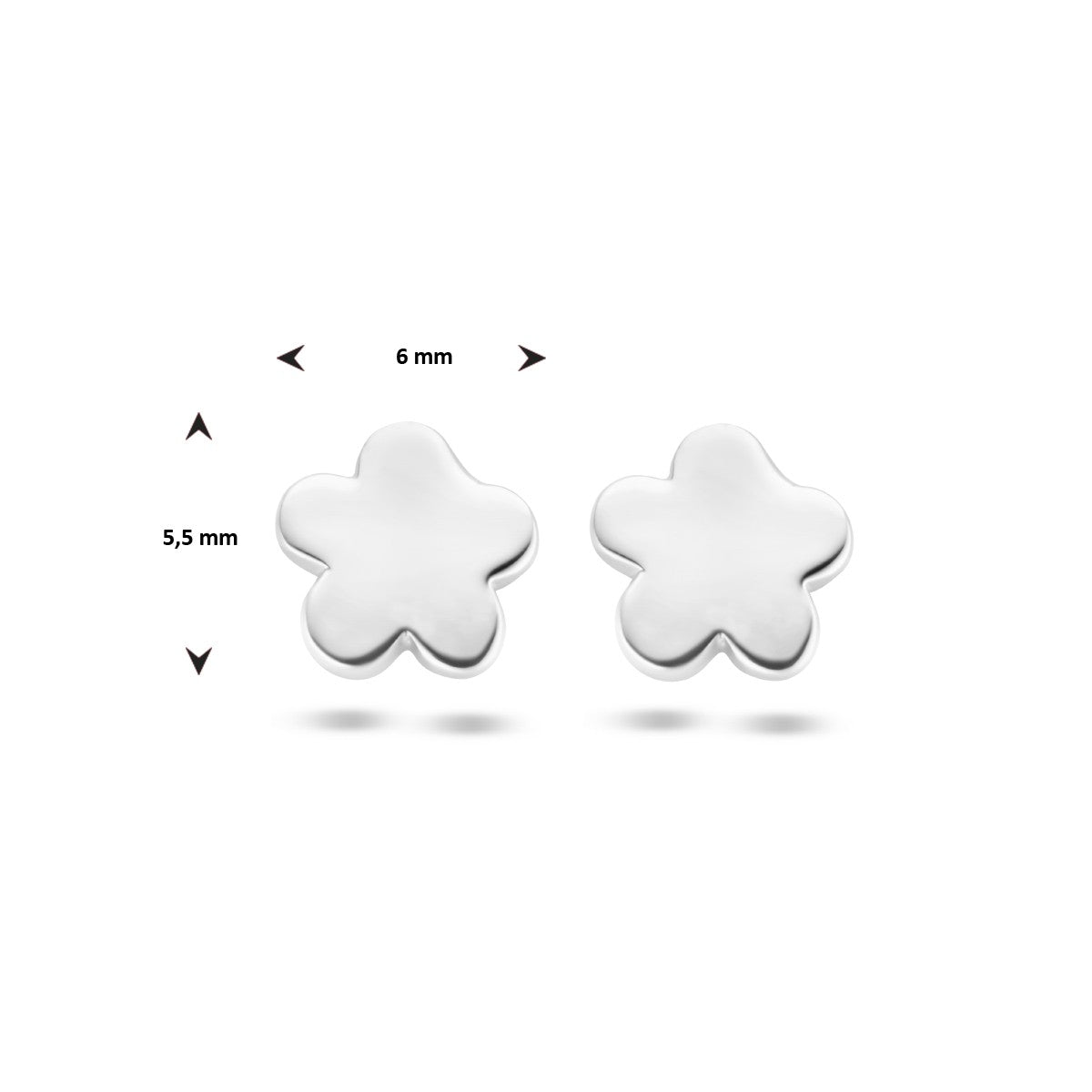 Fantasy Collection Oorbellen zilver - PSN1335973