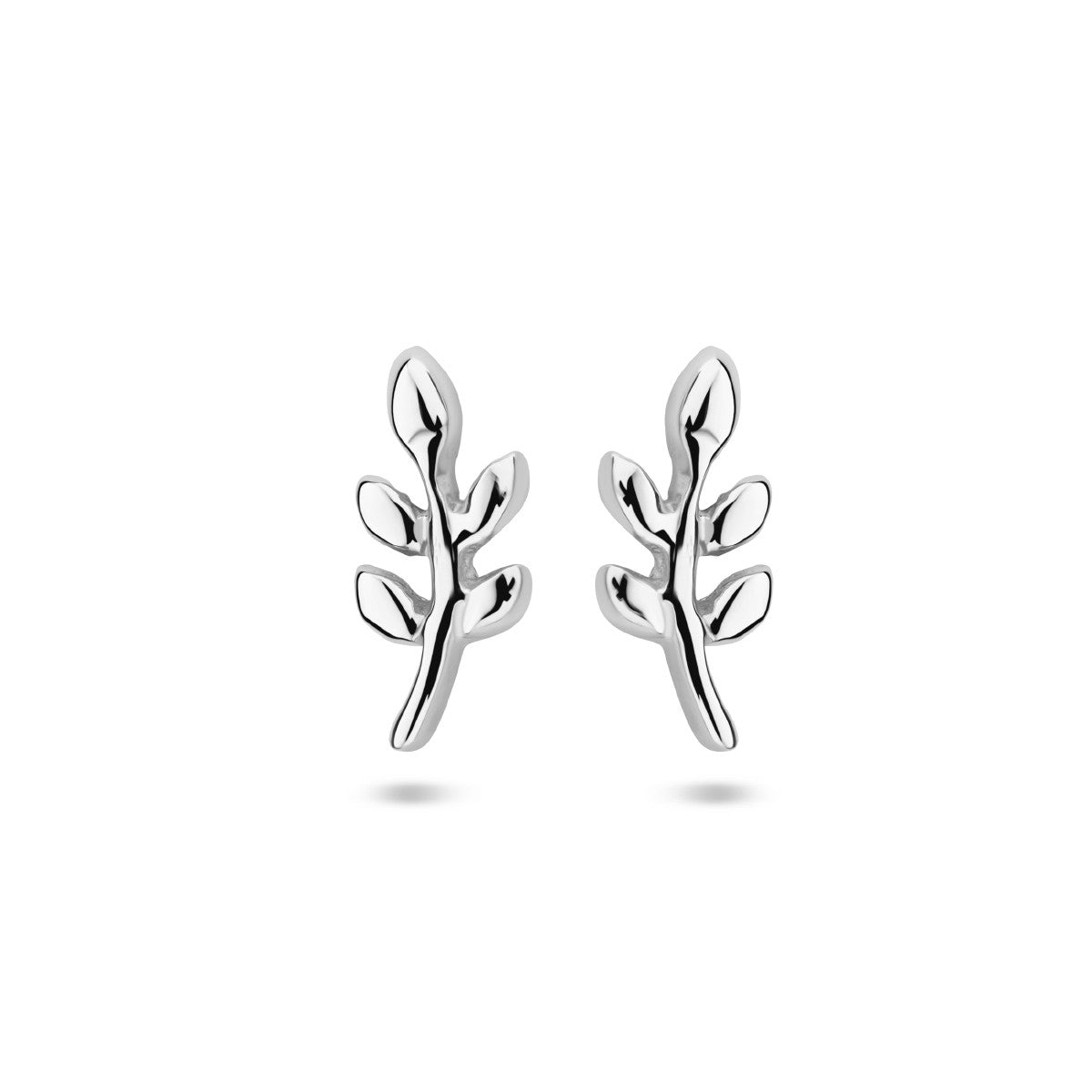 Fantasy Collection Oorbellen blad zilver