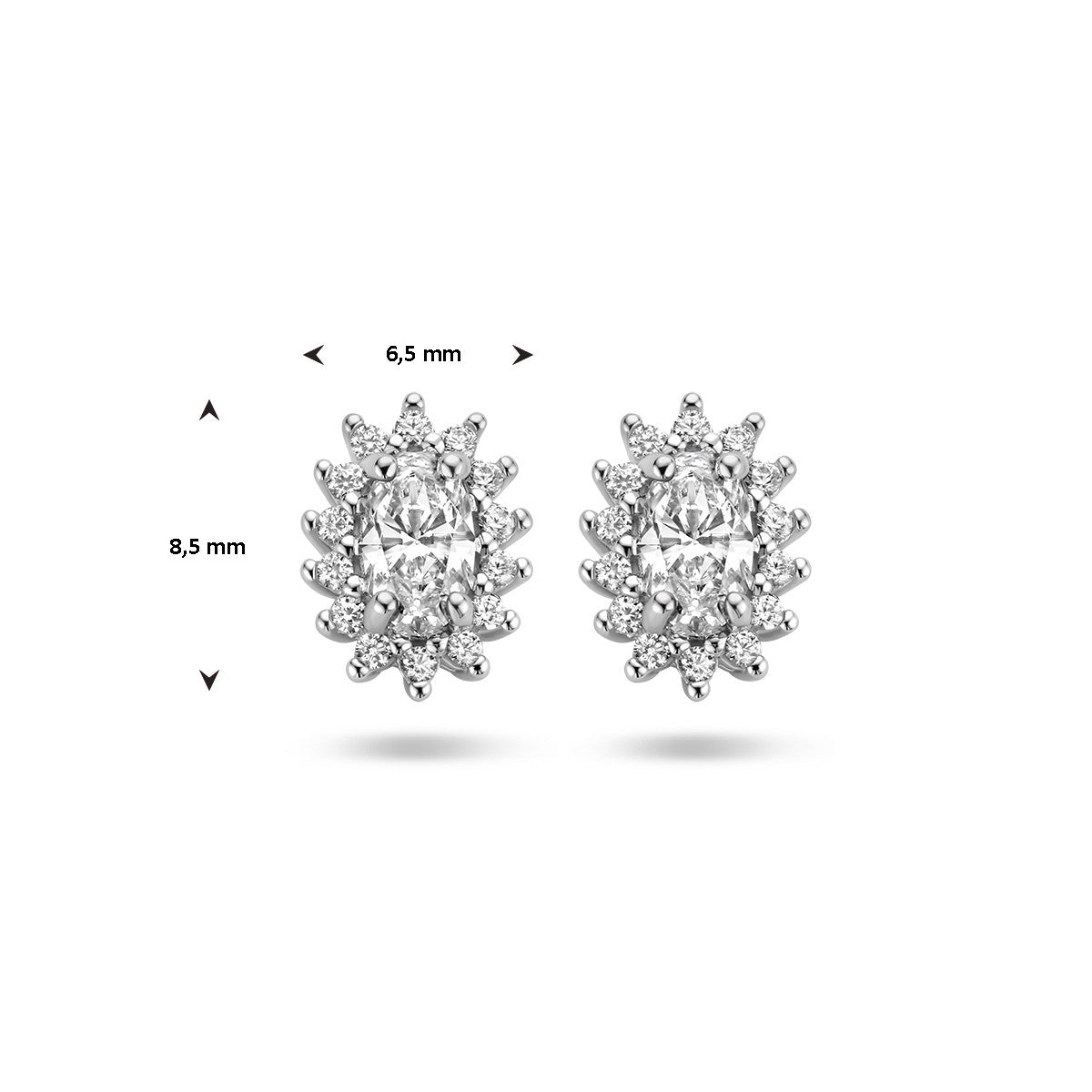 Fantasy Collection Oorbellen zirkonia halo zilver
