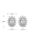 Zilver Gerhodineerd Oorknoppen Zirkonia Halo 1336570 - PansiteNederland.nl