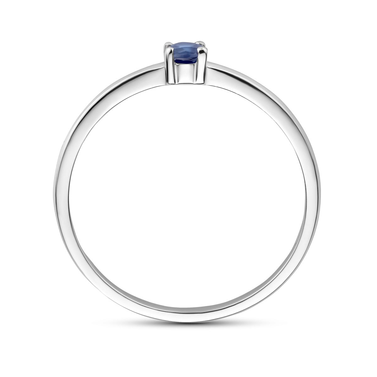 Fantasy Collection Ring met geboortesteen saffier september zilver