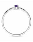 Gerhodineerd Zilver Ring Met Geboortesteen Amethist Februari 1337074 - PansiteNederland.nl