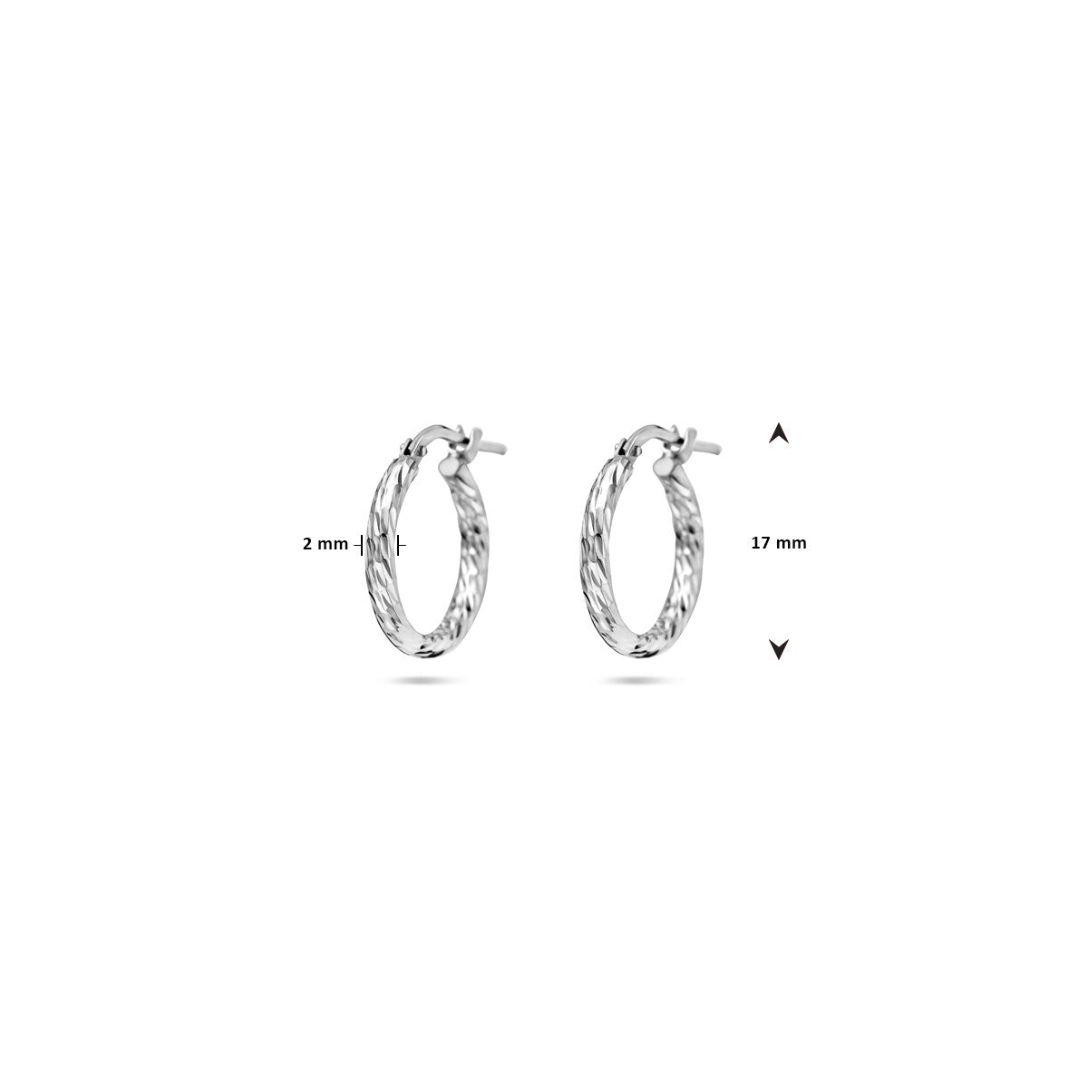 Fantasy Collection Oorbellen gediamanteerd 2,0 mm zilver