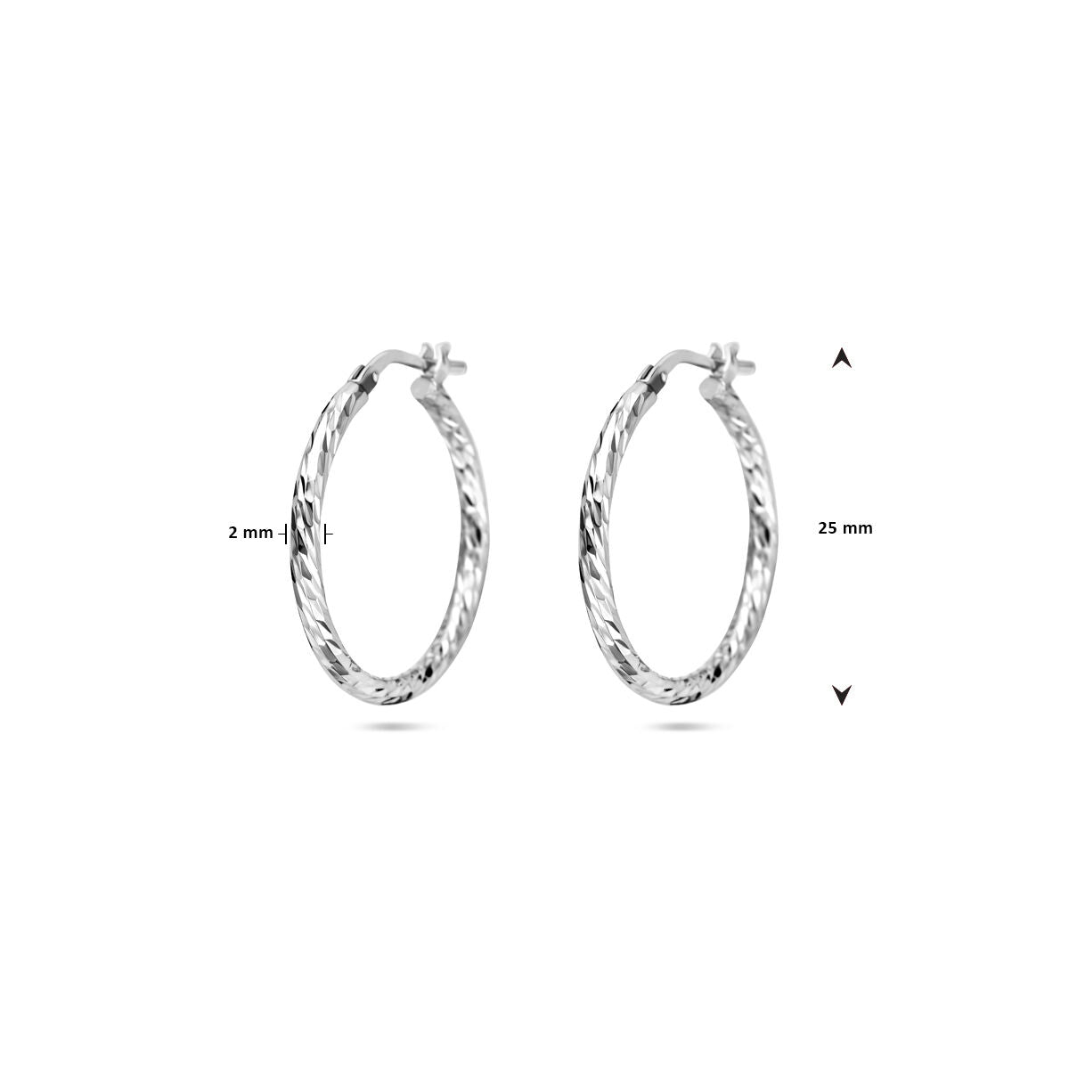 Fantasy Collection Oorbellen gediamanteerd 2,0 mm zilver