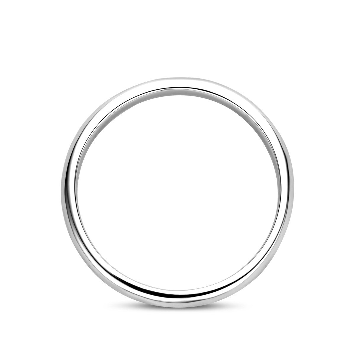Fantasy Collection Relatiering zilver