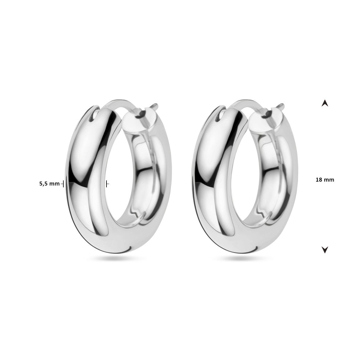 Fantasy Collection Oorbellen zilver